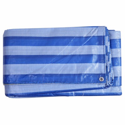 canvas blue