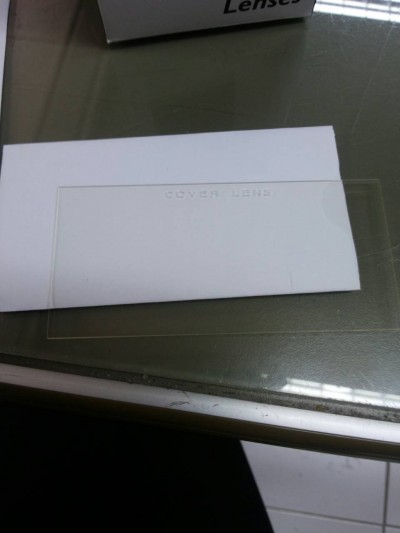 clear polycarbonate